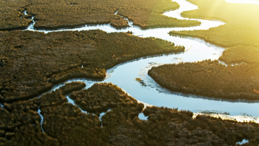 What is a Watershed? Learn about watersheds and river basins - Vimarsana News