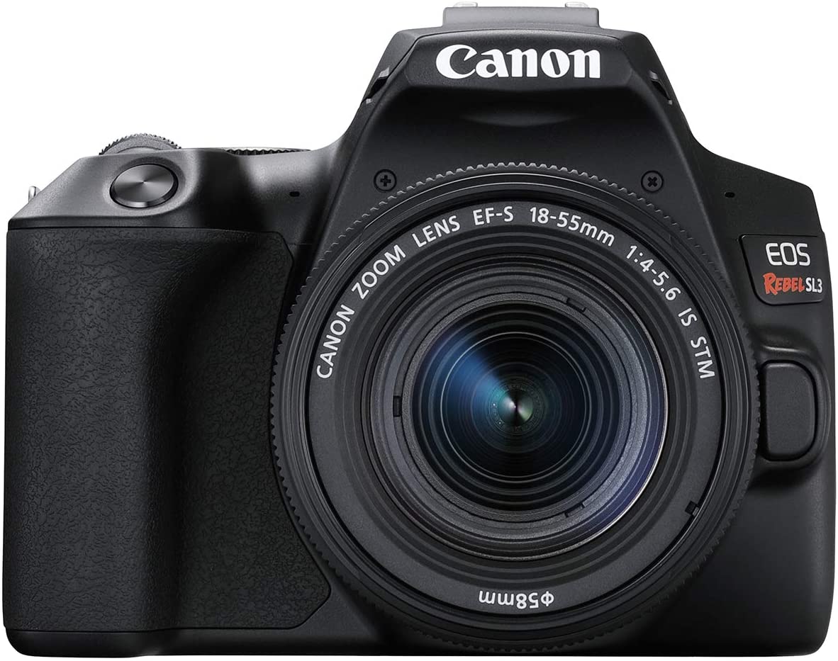 7 best DSLR cameras for the beginners in photography 7 best DSLR cameras for the beginners in photography