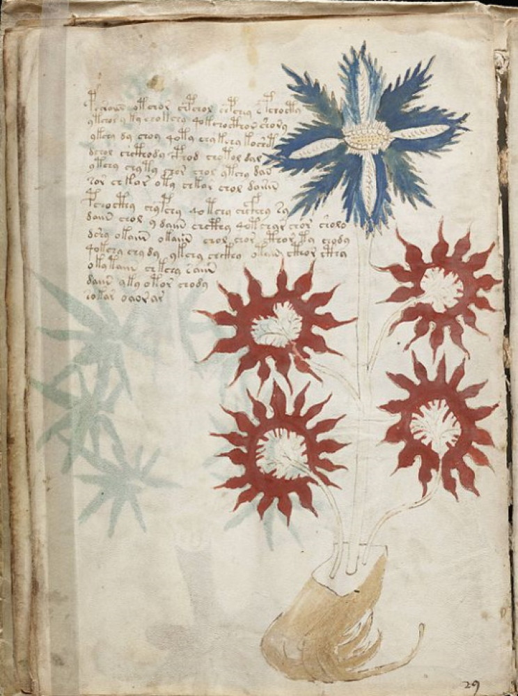 Page from the Voynich Manuscript Page from the Voynich Manuscript