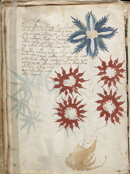 Page from the Voynich Manuscript Page from the Voynich Manuscript