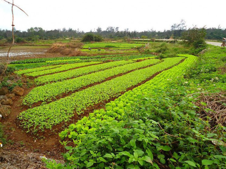 earliest human inventions farms