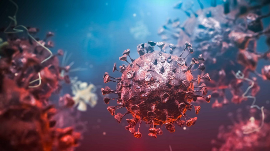 Scientists identified how dog coronavirus jumps to humans - Vimarsana News