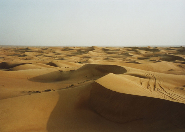 desertification process