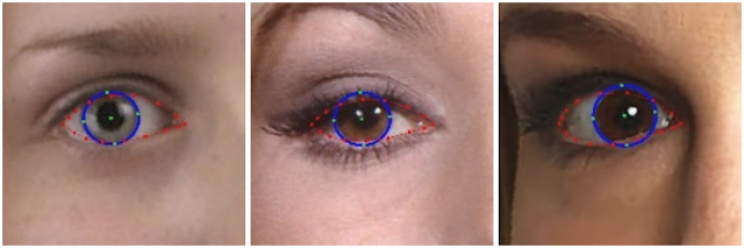 Google AI's Iris Software Tracks Eye Movement and Distance Google AI's Iris Software Tracks Eye Movement and Distance