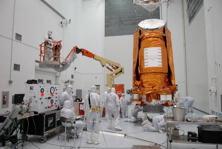scientists examining