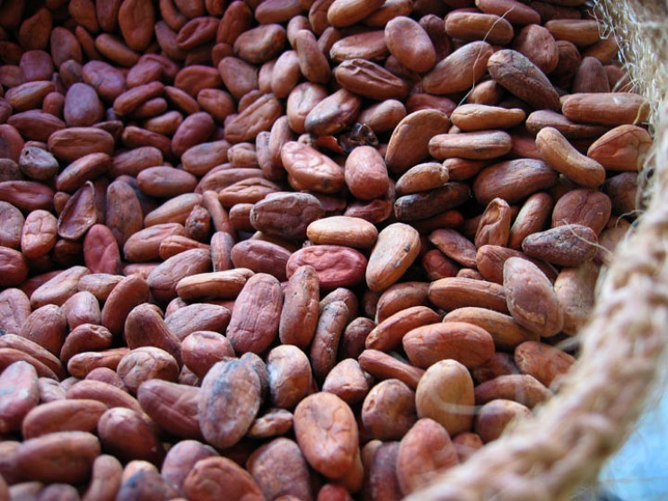 alternative currencies cocoa beans