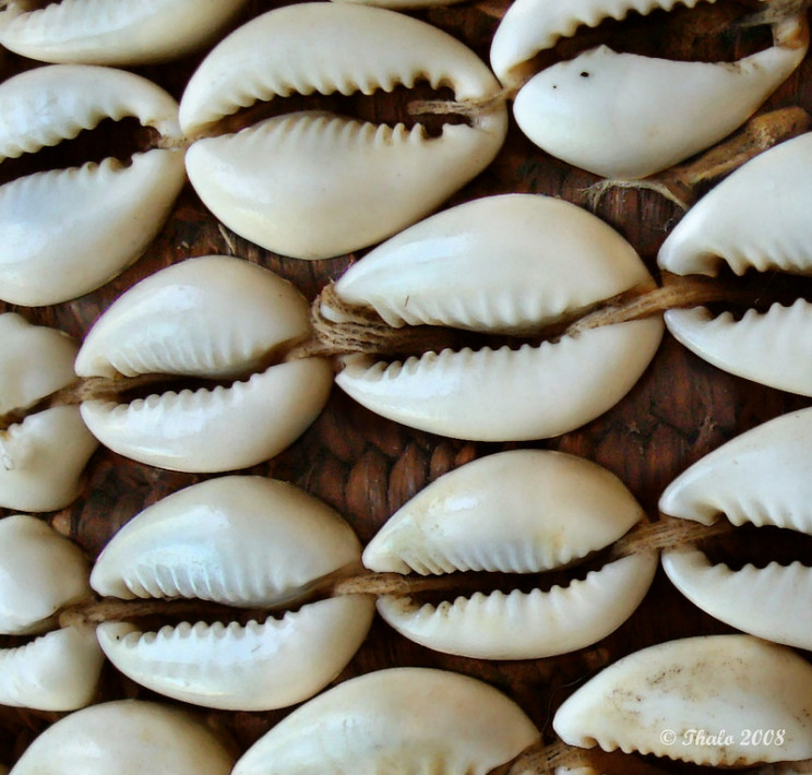 alternative means of exchange cowrie shells