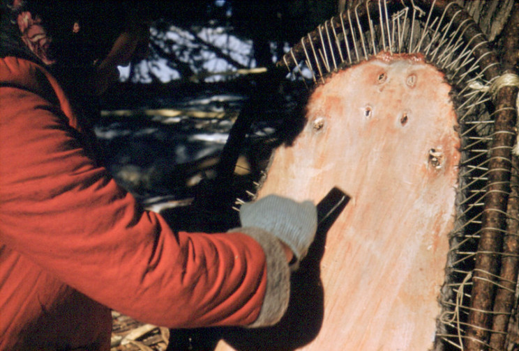 alternative currencies pelts