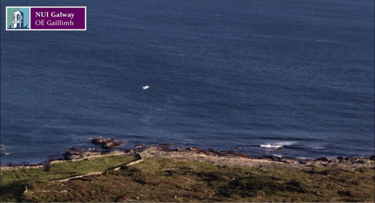 A Team From NUI Galway Created A Drone For Diabetes Patients A Team From NUI Galway Created A Drone For Diabetes Patients