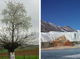 7 Places on Earth That Don't Seem Scientifically Possible
