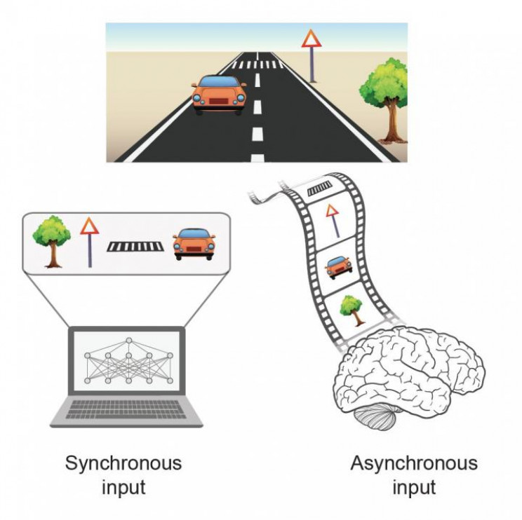 A New Type of AI Has Been Created Inspired by the Human Brain A New Type of AI Has Been Created Inspired by the Human Brain