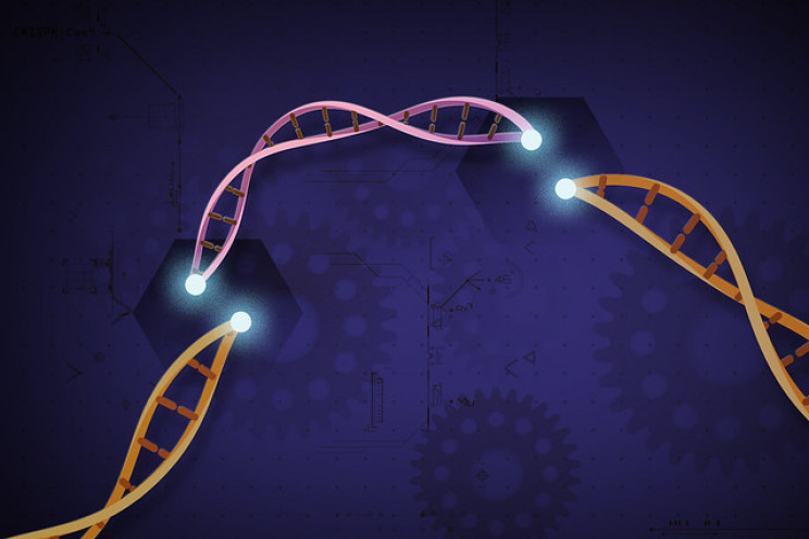 gene therapy crispr