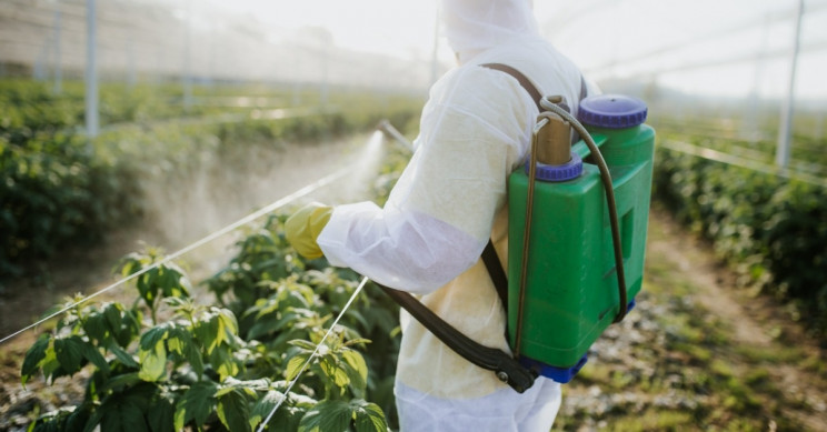 EPA Won't Ban Insecticide Link to Health Problems in Children