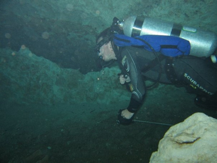 Guidelines for Stringing Divers Guidelines for Stringing Divers
