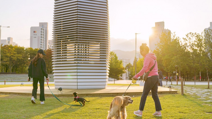 smog-free-3 Smog Free 3