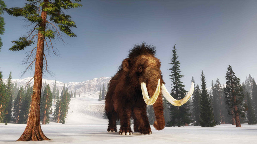 Want to hang out with extinct animals? Metaverse is there for you - Vimarsana News