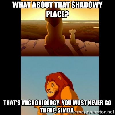 lab memes lion king microbiology