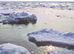 The Suffering of Alaskans Highlighted In Arctic Report Card