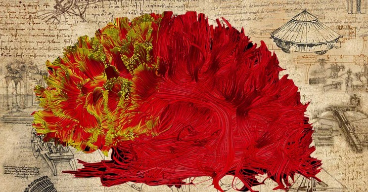 New Study Suggests Leonardo da Vinci May Have Suffered from ADHD