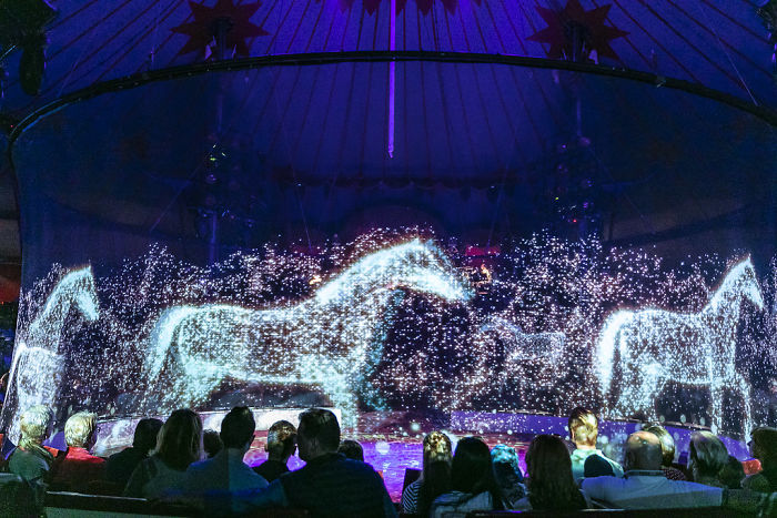 Cruelty-Free Circus Uses Holograms Instead of Real Animals Cruelty-Free Circus Uses Holograms Instead of Real Animals