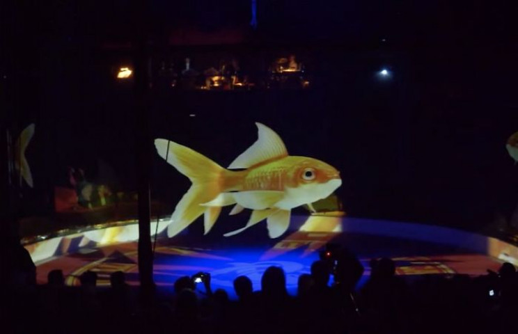 Cruelty-Free Circus Uses Holograms Instead of Real Animals Cruelty-Free Circus Uses Holograms Instead of Real Animals