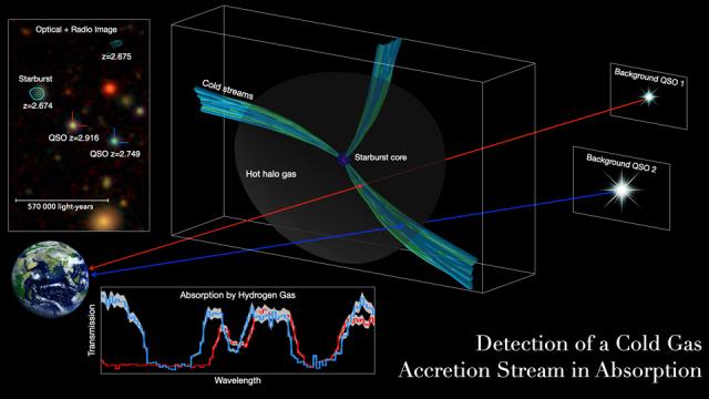 Study Shows Cold Gas Pipelines Fed Early Massive Galaxies Study Shows Cold Gas Pipelines Fed Early Massive Galaxies