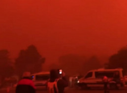 Locals in Australia Run to the Waterside from the Bushfire as the Sky Turns Crimson