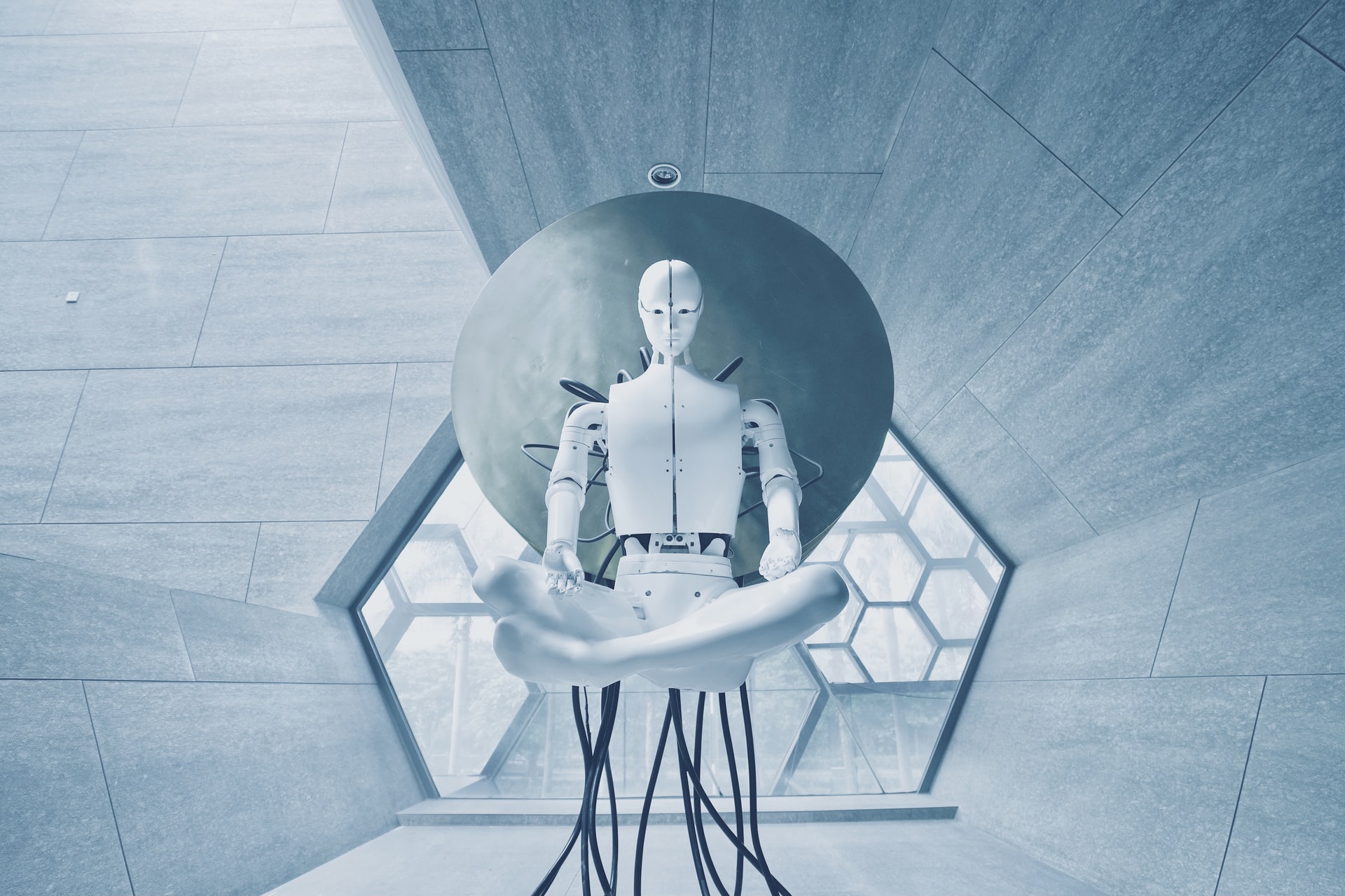 The Singleton Hypothesis Suggests Humanity's Possible Future The Singleton Hypothesis Suggests Humanity's Possible Future