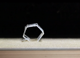 Origami-Inspired Untethered Machines Might Be the Future of Soft Robotics