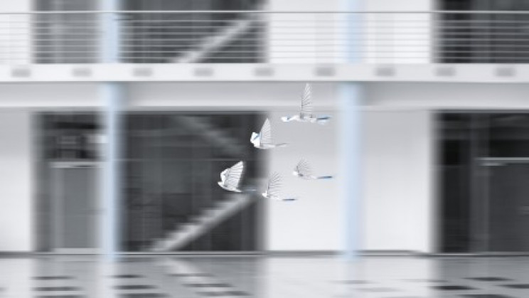 festo-bionicswift-swarm-gps Festo BionicSwift Swarm GPS