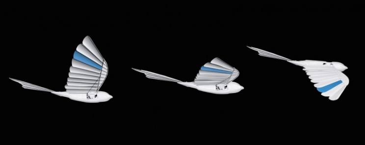 festo-bionicswift-wings Fest BionicSwift Wings