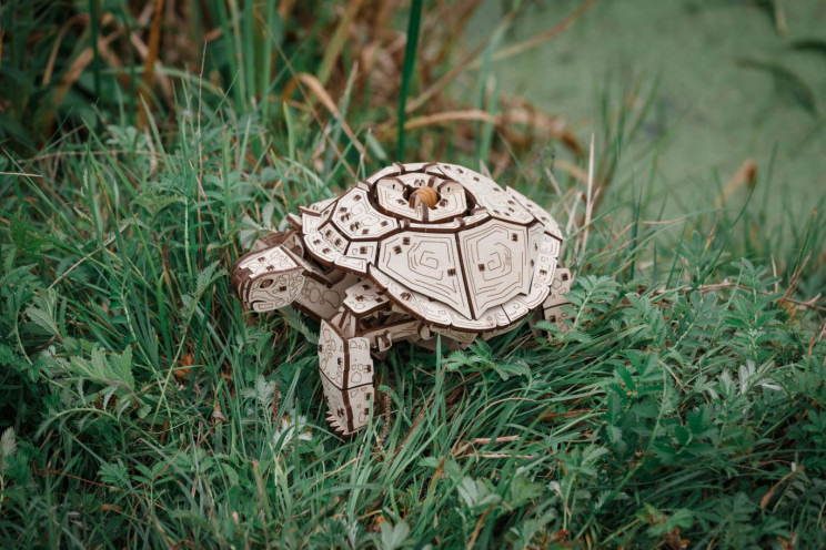 ewa tortoise