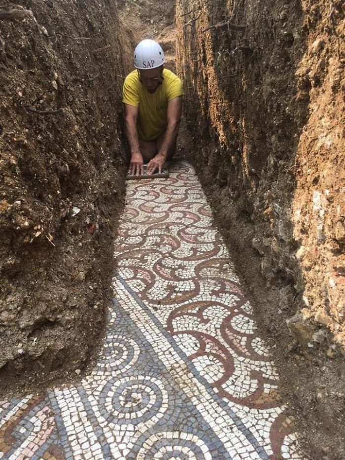 Stunning Roman Mosaic Floor Found Intact Under a Vineyard in Italy Stunning Roman Mosaic Floor Found Intact Under a Vineyard in Italy