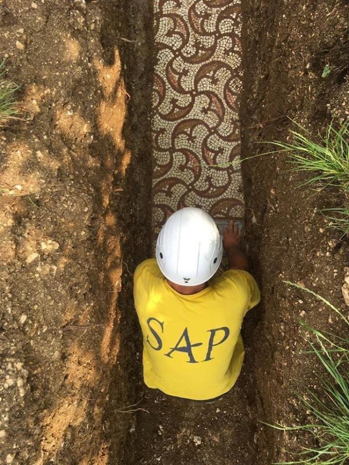 Stunning Roman Mosaic Floor Found Intact Under a Vineyard in Italy Stunning Roman Mosaic Floor Found Intact Under a Vineyard in Italy