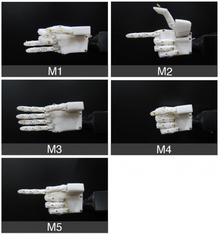 A New Prosthetic Hand System Allows Greater Accuracy and Minimal Training