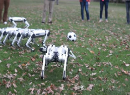 MIT's Mini Cheetah Backflipping Robots Pop Out of Leaves and Play Soccer