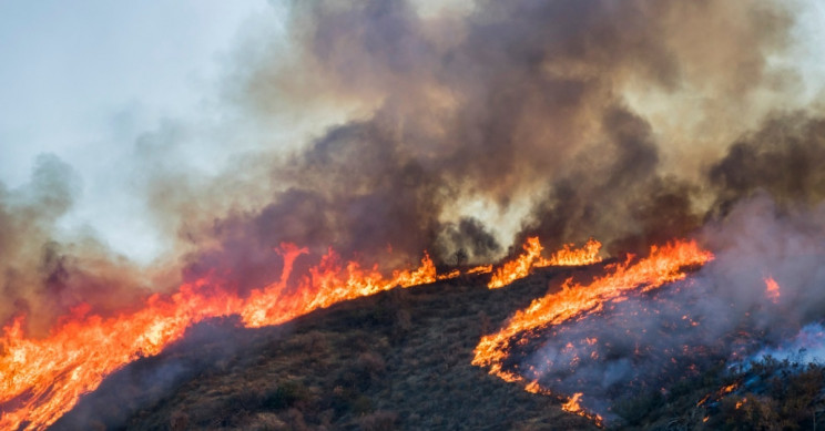 Santa Ana Winds Pick Up Putting More Californians At Risk From Fires