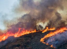 Santa Ana Winds Pick Up Putting More Californians At Risk From Fires
