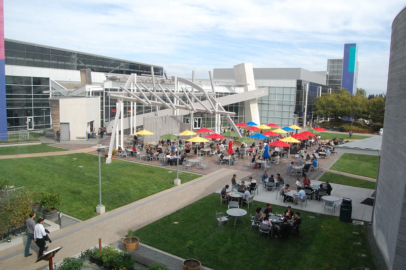 world's coolest office google