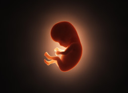 Plan for Super-Intelligent Designer Babies Won't Work, Study Says