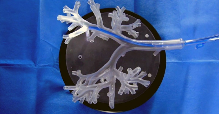 robotic-endoscope-monarch-platform Robotic Endoscope Monarch Platform