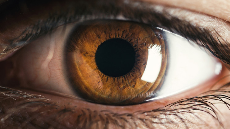 Scientists just brought light-sensing cells in human eyes back to life