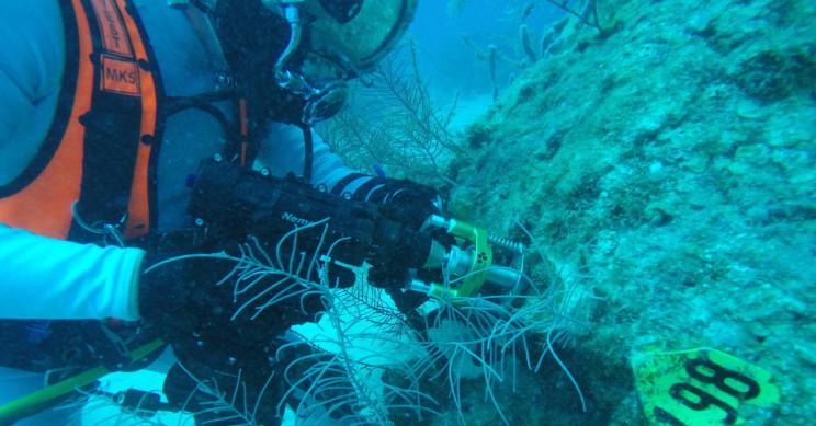 NASA and the ESA Shows off Technology for New Underwater Adventure: The Internet Loves It