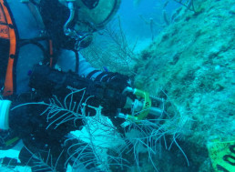 NASA and the ESA Shows off Technology for New Underwater Adventure: The Internet Loves It