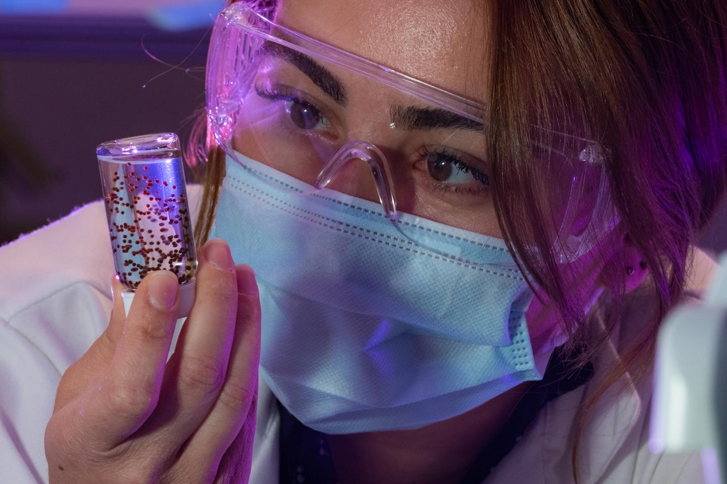 Shielded Stem Cells Improve The Cells’ Ability To Heal Heart Injuries Shielded Stem Cells Improve The Cells’ Ability To Heal Heart Injuries