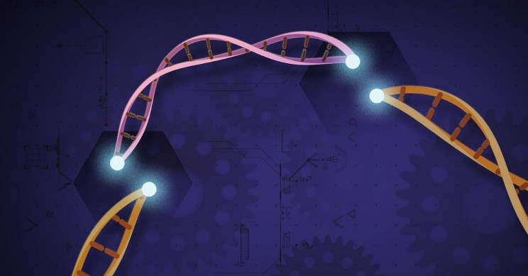 CRISPR Gene Editing Tool Wins 2020 Nobel Chemistry Prize