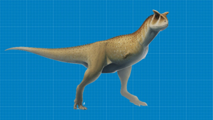 Argentine dinosaur might have been armless but surely not harmless