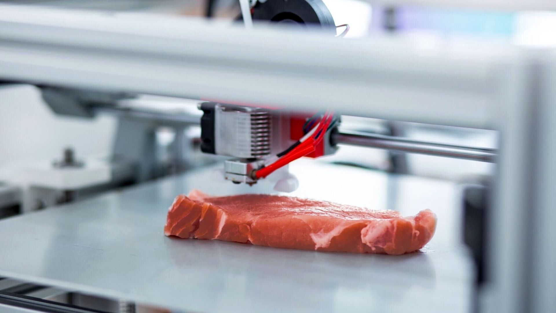 lab grown meat