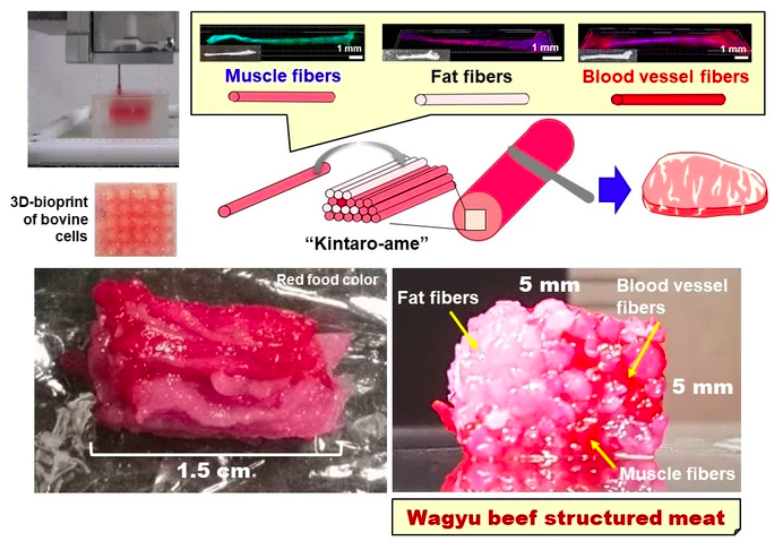 Japan reveals 3D-printed Wagyu beef. But is it good? Japan reveals 3D-printed Wagyu beef. But is it good?
