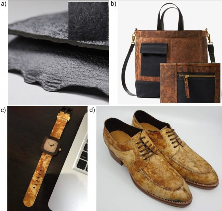 Fungi-Leather, An Environmentally Friendly Alternative Fungi-Leather, An Environmentally Friendly Alternative